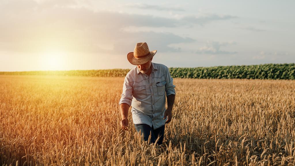 Farmer